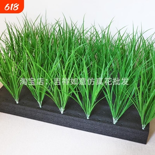 仿真水稻苗禾苗道具麦苗假秧苗春草塑料绿植装饰演出老品种细叶