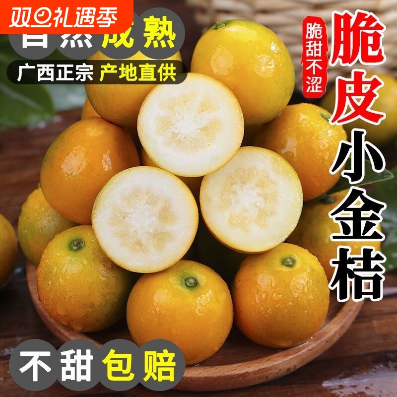 广西脆皮金桔10融安小金桔当季新鲜水果冰糖心5斤整箱柑现摘桂林