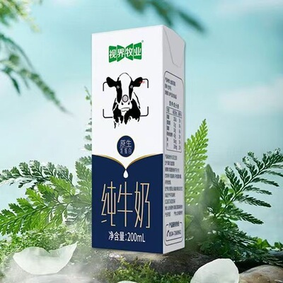视界牧业全脂纯牛奶200ml*6盒 营养早餐奶