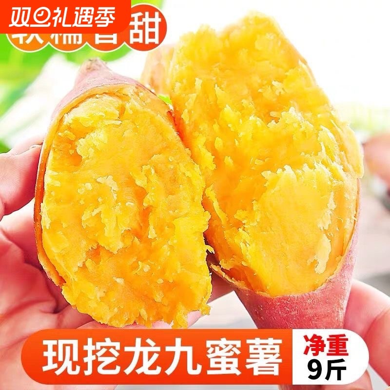 现挖农家自种龙九红薯龙薯9号番薯美味地瓜蒸吃新鲜味美沙地板栗