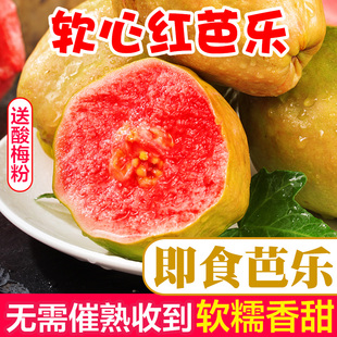 福建软糯红心芭乐5斤新鲜水果番石榴熟透软糯胭脂红即食整箱包邮