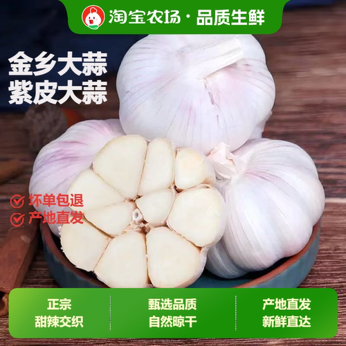2026农家新鲜新干蒜紫皮大蒜头优质干蒜红皮大蒜种子炒菜嫩蒜农场
