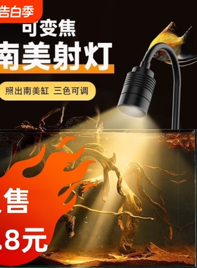 三定时迷你鱼缸射灯鱼缸灯南美造景水草灯led原生缸灯小缸变焦