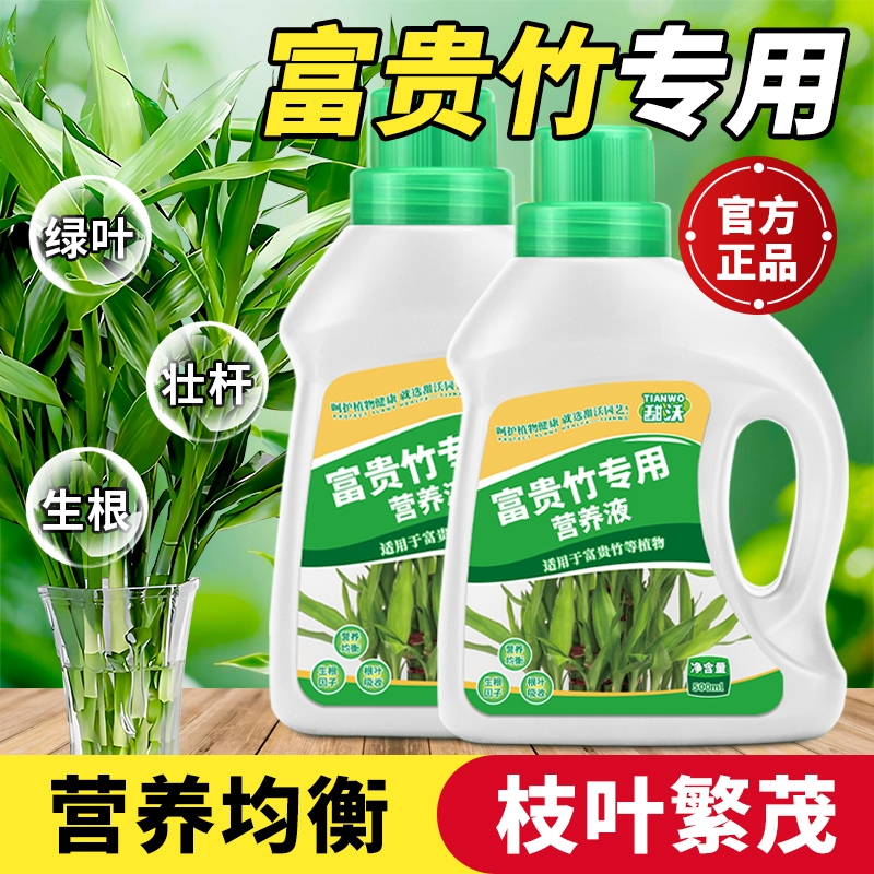 富贵竹专用营养液阳台绿植盆栽水培植物通用型黄叶促生根均衡肥料