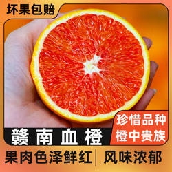 赣南血橙新鲜红肉脐橙水果产地直发当季整箱橙子现摘