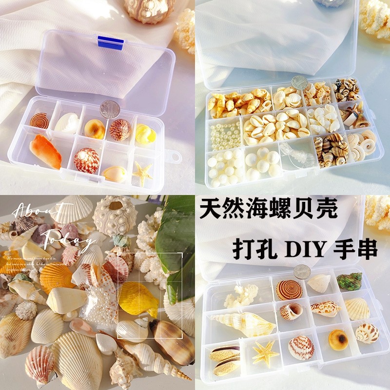天然贝壳海螺科普材料打孔手串收纳套装礼盒幼儿园海洋生物收藏