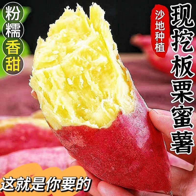 【一级薯】山西板栗薯红薯新鲜番薯黄白心粉糯面富硒地瓜地头挖