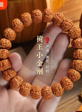 爆肉树王小金刚菩提手串本命年男士文玩双龙核桃盘玩佛珠手链串珠