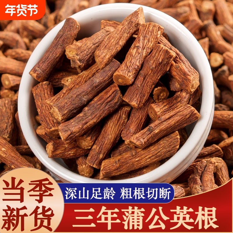 野生蒲公英根茶中药材正品长白山蒲公英整根新茶干蒲公英茶大根