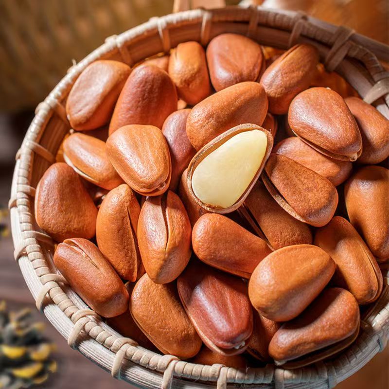 开口松子新货坚果批发大颗粒原味大果特大红松子干果零食河北特产
