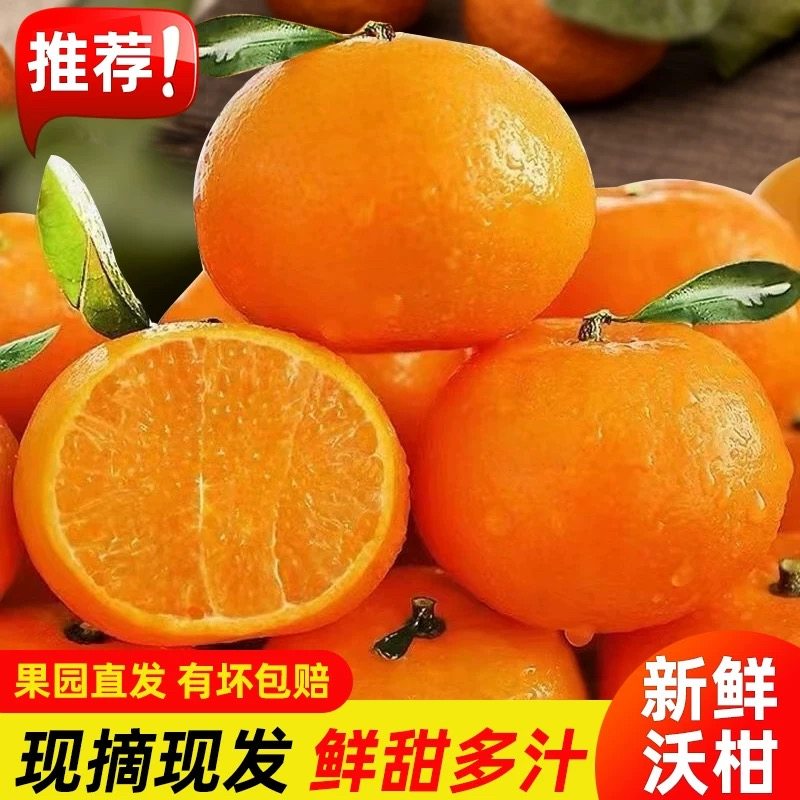 正宗地标性广西武鸣沃柑应季鲜甜多汁柑橘类水果产地现摘现发,水产肉类/新鲜蔬果/熟食,桔子,淘宝优惠券,粉丝福利购,淘宝优惠卷