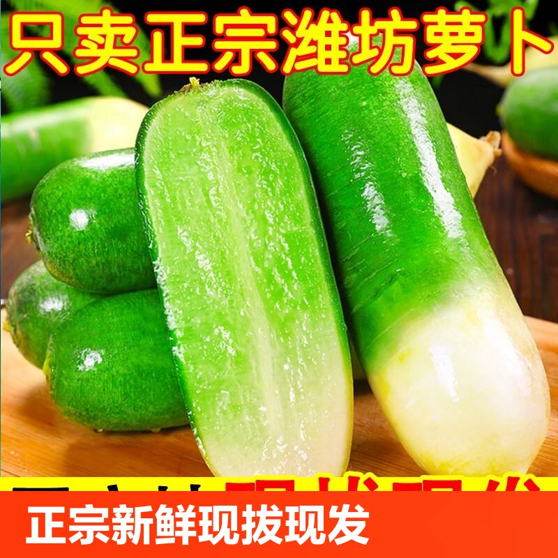 现拔潍坊水果萝卜5斤新鲜甜脆水果型潍县冰淇淋凤梨生吃正宗萝卜