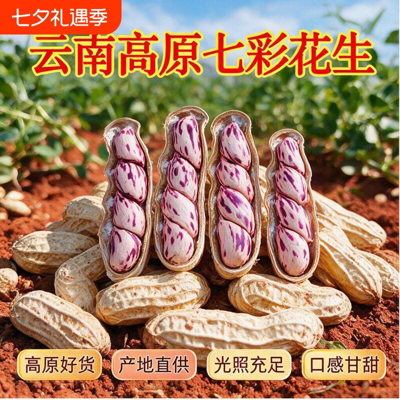 七彩五彩花生新货云南普洱七彩野地带壳水果新鲜晒干油炸健康大粒