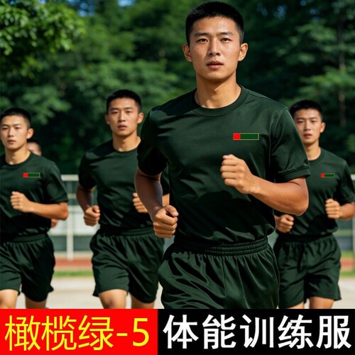 体能服短袖体能训练服套装速干短裤夏半袖透气T恤裤子橄榄绿薄款