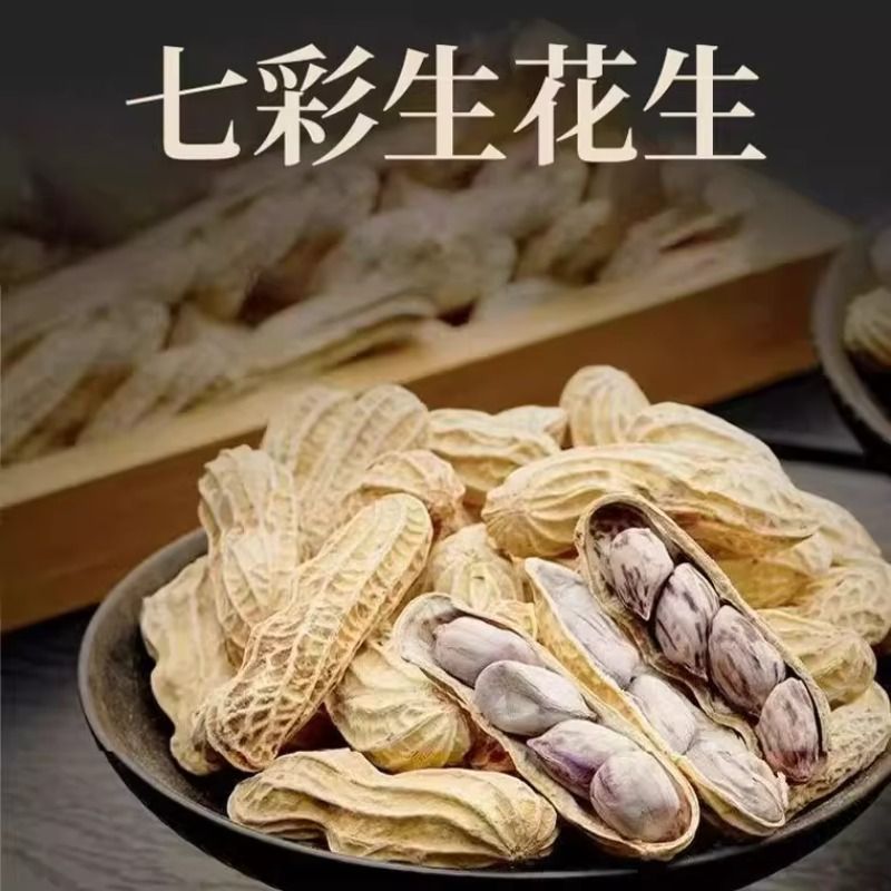 当季新带壳七彩花生下酒菜云南特产休闲零食高原特产个大壳薄晒干