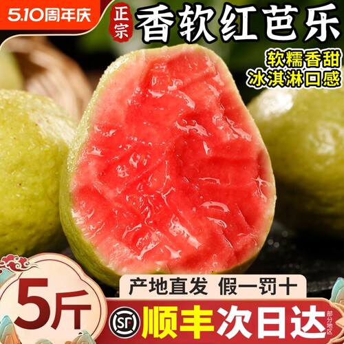 【顺丰可选】正宗红心软芭乐鲜果