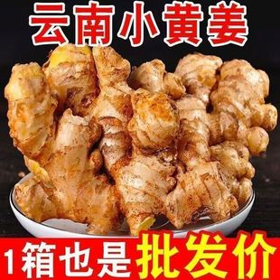 现挖特价云南小黄姜老姜母正宗老姜新鲜黄姜肉厚辛辣原生态姜农家