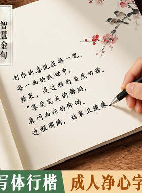 行楷字帖成人练字智慧金句人生手札净心修身智慧感恩借势向上硬笔书法钢笔字帖中国风成人静心解压行楷硬笔手写体女生字体漂亮治愈