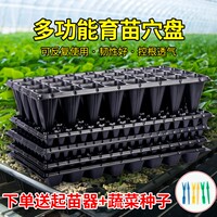 育苗盘穴盘辣椒西瓜培育育苗盆