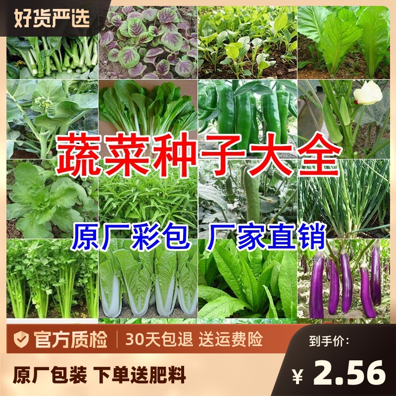 蔬菜种子四季播盆栽香菜青白菜萝卜生菜菠菜籽孑大全种菜阳台种植 鲜花速递/花卉仿真/绿植园艺 家庭园艺种子 原图主图