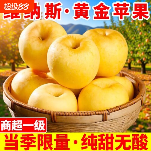 正宗山东维纳斯黄金苹果脆甜非黄元帅奶油富士丑新鲜当季苹果整箱