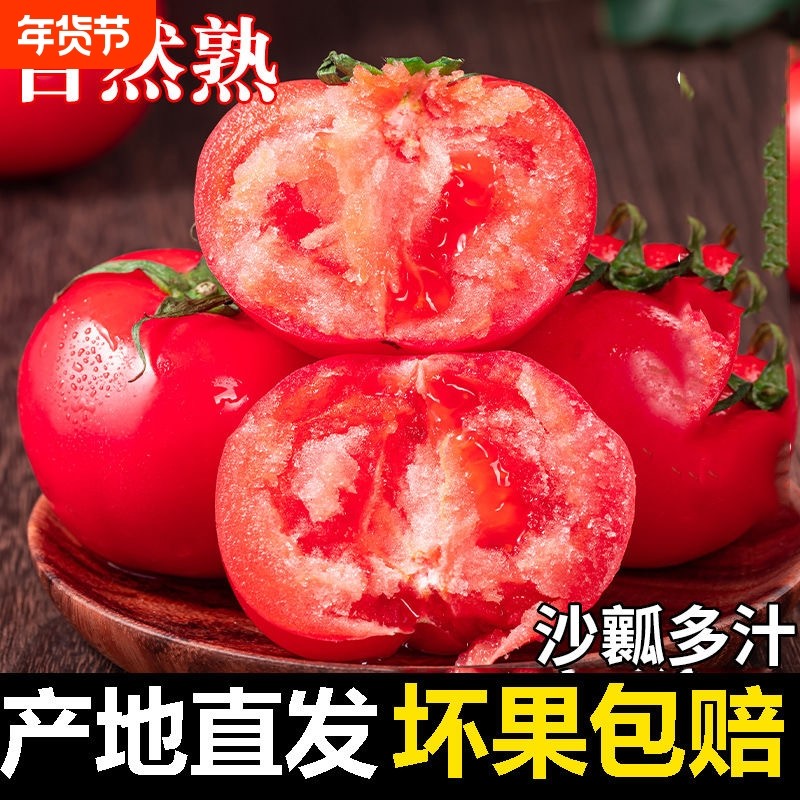 四川攀枝花阳光水果西红柿斤新鲜自然熟生吃普罗旺斯沙瓤番茄,水产肉类/新鲜蔬果/熟食,番茄,淘宝优惠券,粉丝福利购,淘宝优惠卷