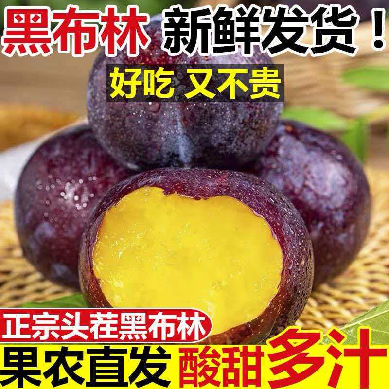 陕西黑布林李子新鲜应季孕妇黄肉水果黑宝石酸甜鲜果自提保存清脆