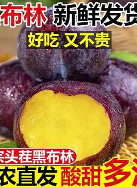 陕西黑布林李子新鲜应季孕妇黄肉水果酸甜脆黑宝石水果酸甜多汁