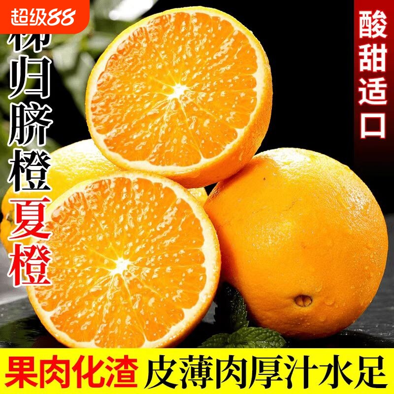 正宗秭归橙子夏橙脐橙新鲜当季水果手剥果冻冰糖甜橙大果整箱包邮图片