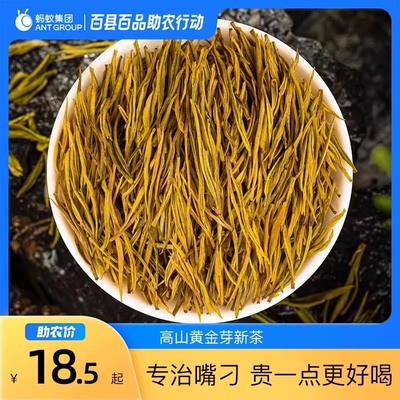 高山黄金芽新茶珍惜白茶黄金叶嫩芽高山云雾绿茶散装罐装绿茶茶叶