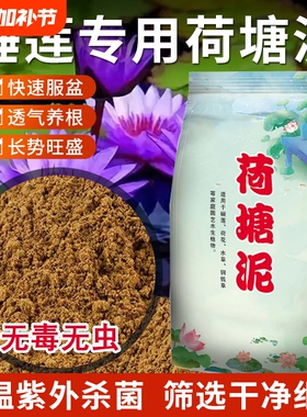 荷塘泥天然碗莲专用泥睡莲铜钱草荷花河淤泥土水生植物专用营养土