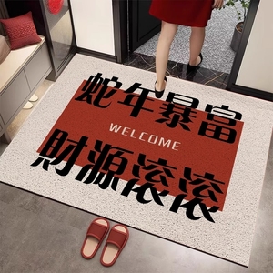 2025红色入户门地垫家用丝圈门垫子进门口踩脚垫防滑玄关地毯室外