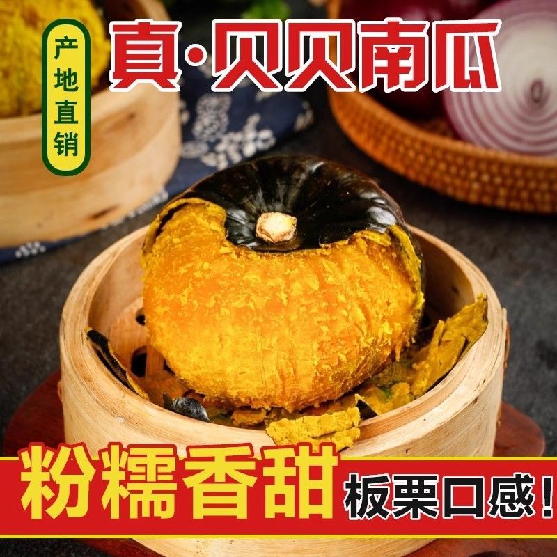 正宗贝贝南瓜板栗味小南瓜辅食粉面香甜辅食新鲜农家自种南瓜