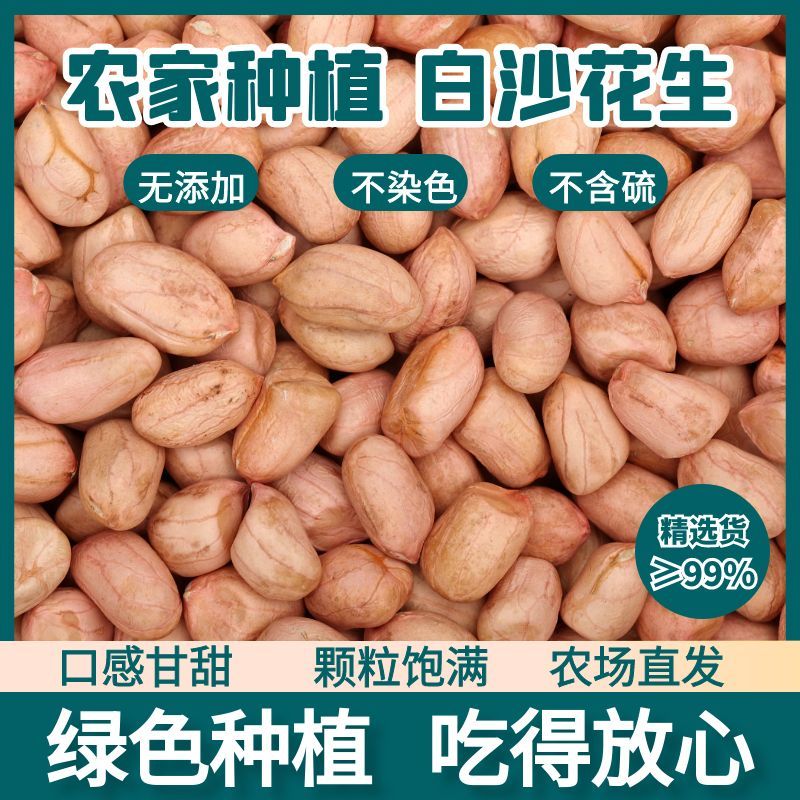 南阳现剥无壳新货粉皮新鲜榨油白沙花生米生商用粉皮饱满营养丰富