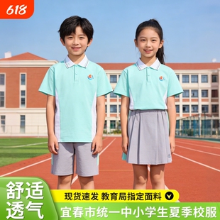 宜春市中小学生夏季校服男女统一索棉短袖短裤裙子休闲套装绿色