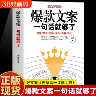 官方现货 爆款好文案一句话就够了 赠文案经典案例集 文案策划从入门到精通 广告运营文案 如何写出好文案图书 网络推广文案