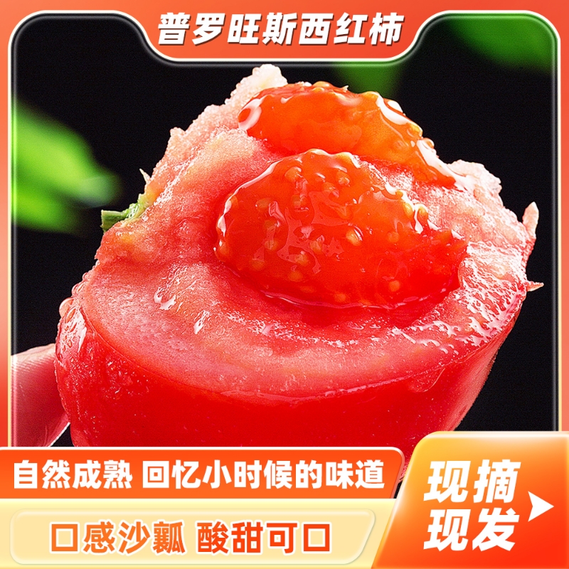 甘肃普罗旺斯正宗沙瓤西红柿番茄蔬菜现摘自然熟生吃沙瓤露天水果