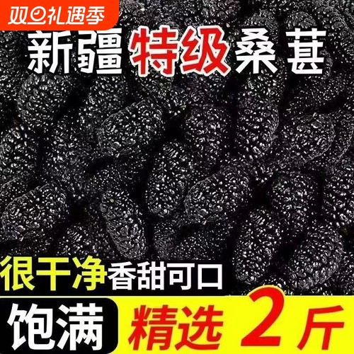 新疆野生黑桑葚桑葚干免洗无沙桑新疆罐装特级直泡茶泡水泡酒无沙
