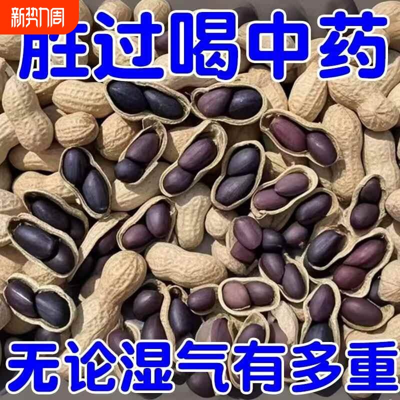 原味富硒黑花生带壳黑皮花生米500g云南特产晒干七彩新货新鲜当季