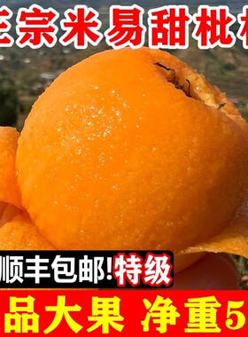 四川攀枝花米易枇杷鲜果当季新鲜孕妇水果5斤大五星琵琶果甜特级