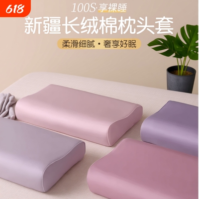 100s长绒棉乳胶枕头家用一对装