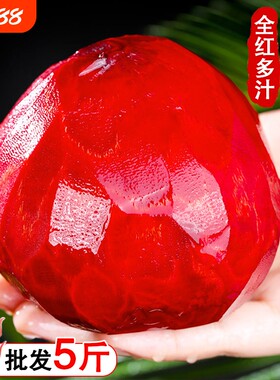 新鲜甜菜根全红多汁现挖甜菜头