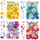 干花材料包diy永生花压花片草手工滴胶书签真花植物树叶标本押花