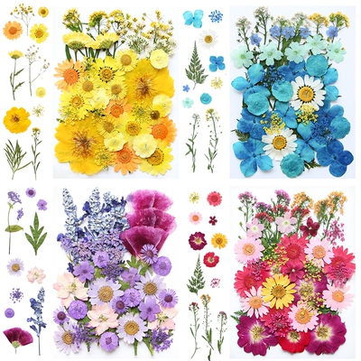 DIY滴胶压花材料包|回购1.1万次