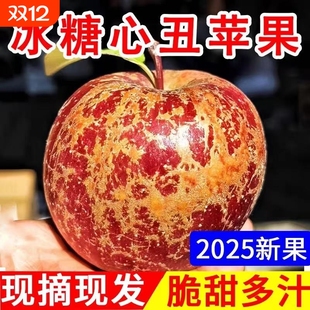 大凉山盐源冰糖心丑苹果当季 高山生态新鲜脆甜多汁优选现摘樱桃