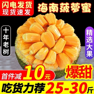 海南菠萝蜜一整个新鲜水果波罗蜜当季 40斤整箱 包邮 红干苞 特产20