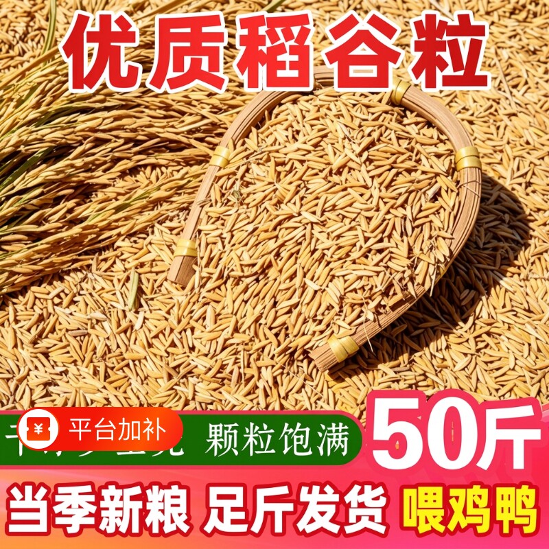 带壳稻谷谷子水稻圆稻子粮食杂粮大米喂鸡鸭鹅鸽子鸟仓鼠宠物饲料