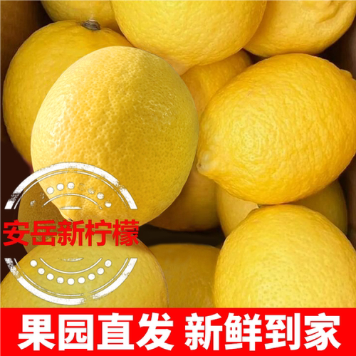 安岳黄柠檬整箱无农残柠檬