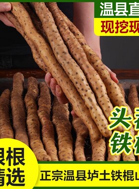 垆土铁棍山药正宗河南焦作温县
