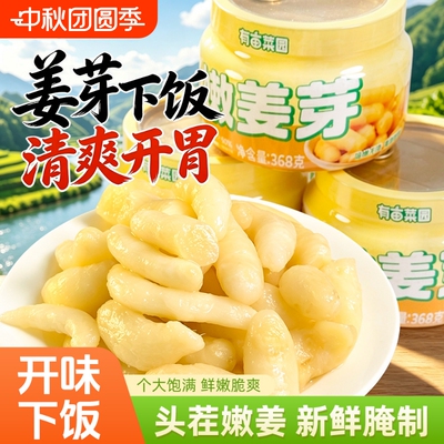 有亩菜园糖醋嫩姜芽即食下饭